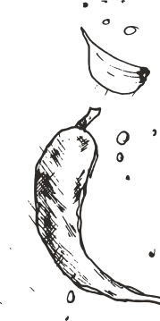 shape-4